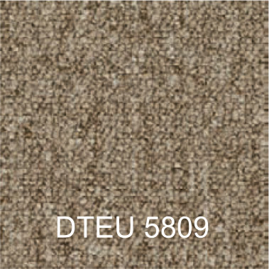 DTEU 5809