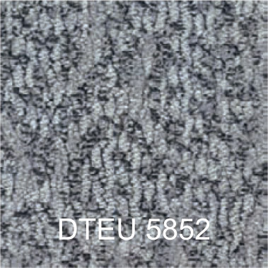 DTEU 5852