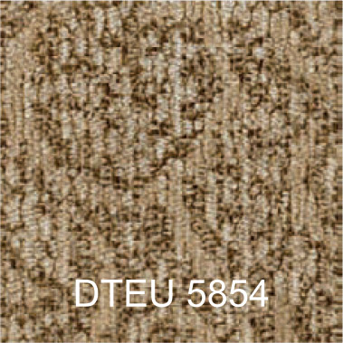 DTEU 5854