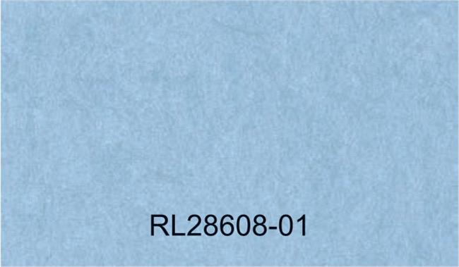 RL28608-01