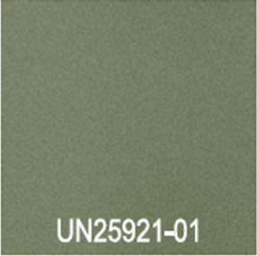 UN25921-01