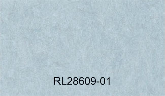 RL28609-01