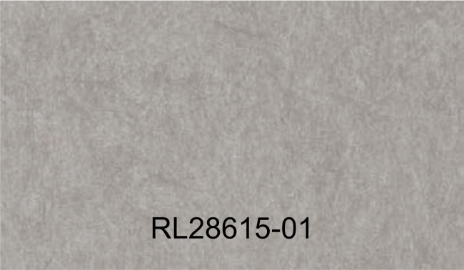 RL28615-01
