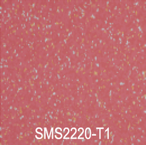 SMS2220-T1