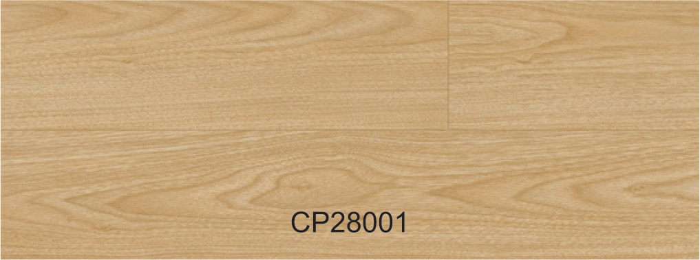 CP28001