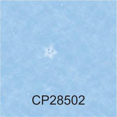 CP28502