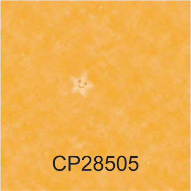 CP28505