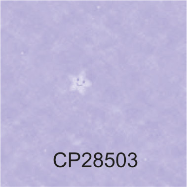 CP28503