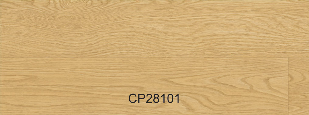 CP28101